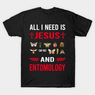 I Need Jesus And Entomology Entomologist Insect Insects Bug Bugs T-Shirt